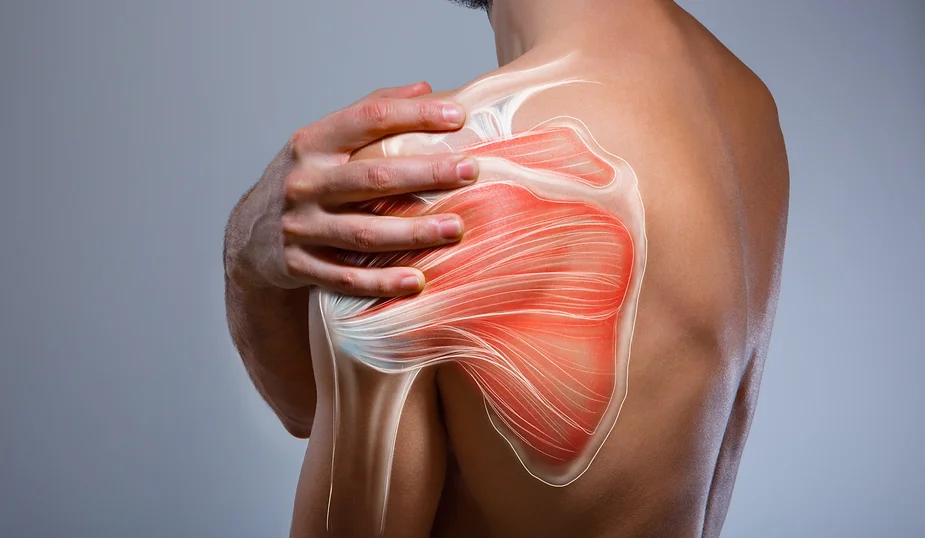 dolor fisioterapia madrid hombro manguito rotador